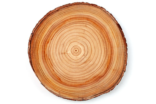 cedar-benefits-construction-woodworking