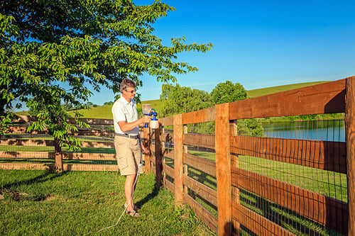 summer-fence