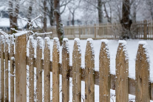 winter-prep-fence