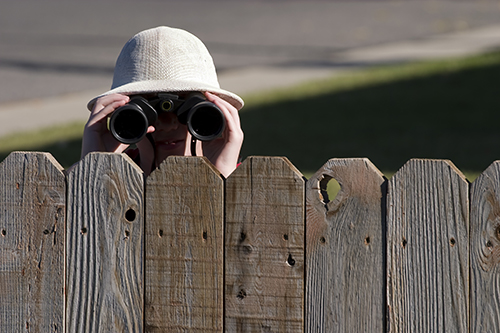 fence neighbors